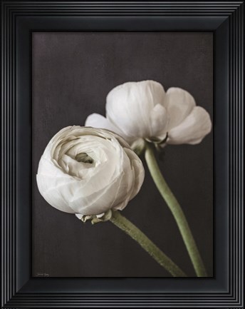 Framed Refined Beauty I Print