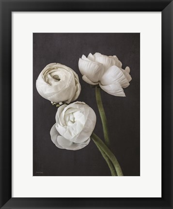 Framed Refined Beauty III Print