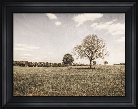 Framed Together in the Fields I Print