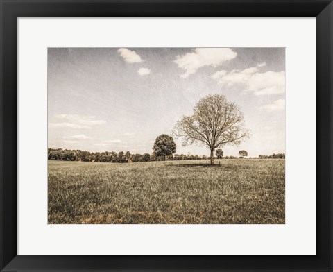 Framed Together in the Fields I Print