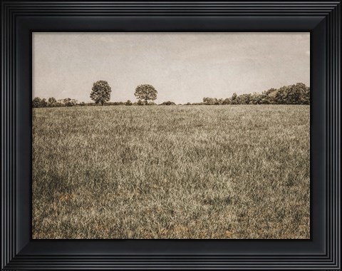 Framed Together in the Fields II Print