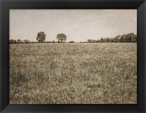 Framed Together in the Fields II Print