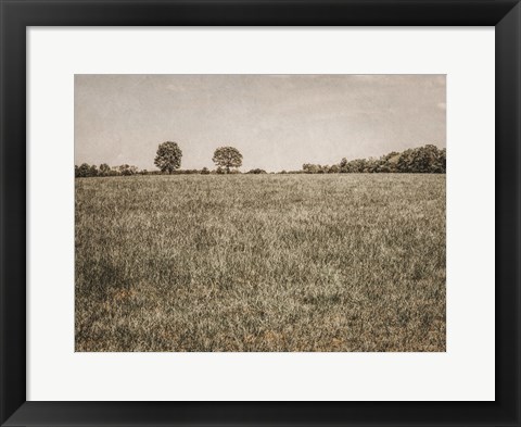 Framed Together in the Fields II Print