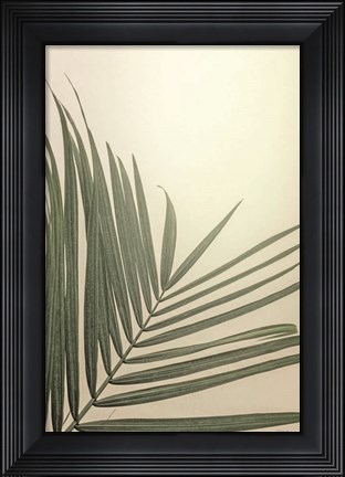 Framed Golden Hour Palm Print