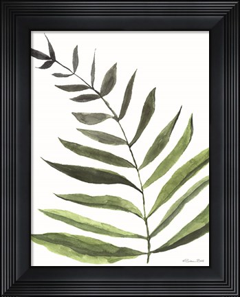Framed Fern 1 Print