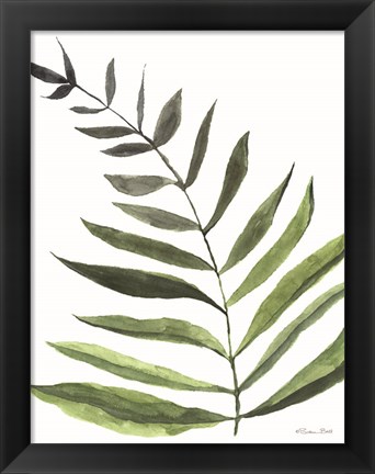 Framed Fern 1 Print