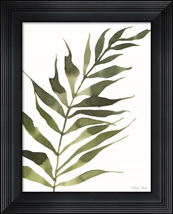 Framed Fern 2 Print