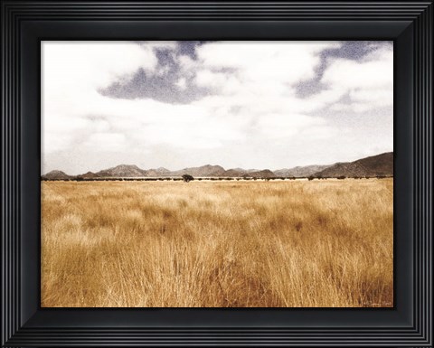 Framed Meadow Print