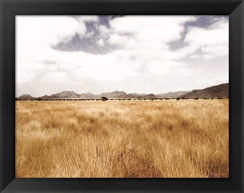 Framed Meadow Print