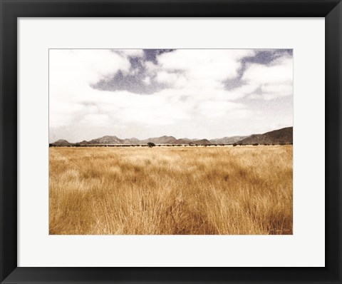 Framed Meadow Print