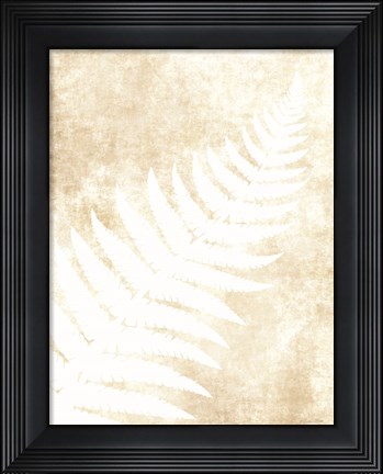 Framed Fern Frond 1 Print