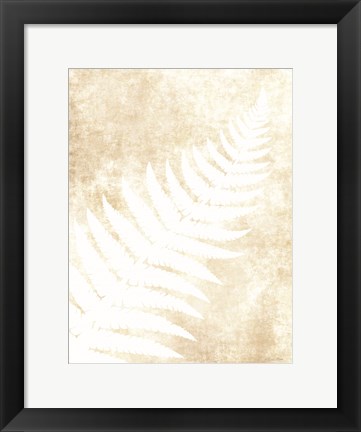 Framed Fern Frond 1 Print