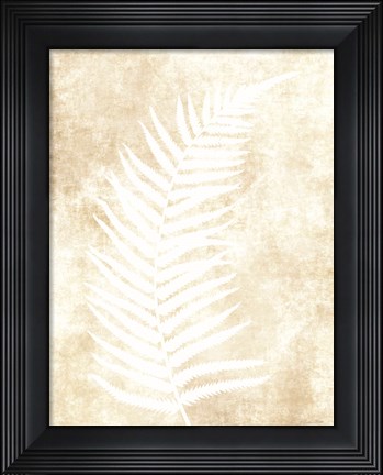 Framed Fern Frond 2 Print