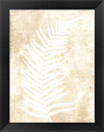 Framed Fern Frond 2 Print
