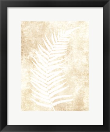 Framed Fern Frond 2 Print