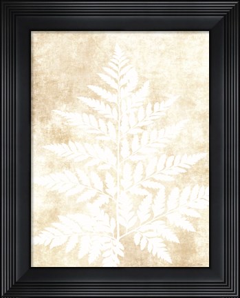 Framed Fern Frond 3 Print