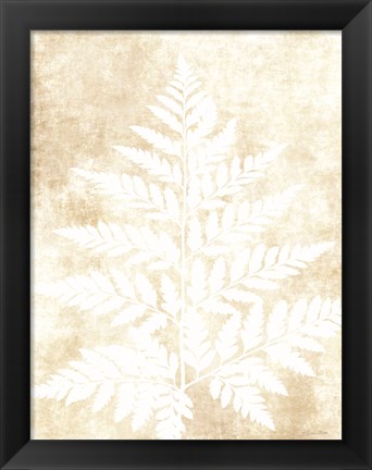 Framed Fern Frond 3 Print