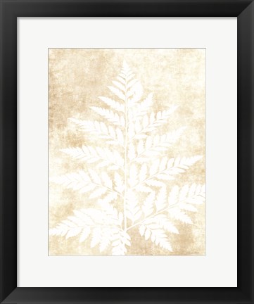 Framed Fern Frond 3 Print