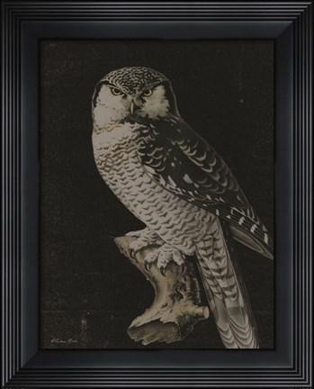 Framed Moody Owl Print