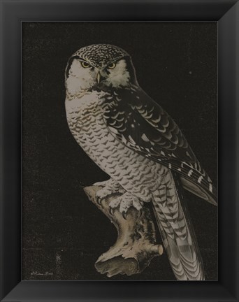 Framed Moody Owl Print