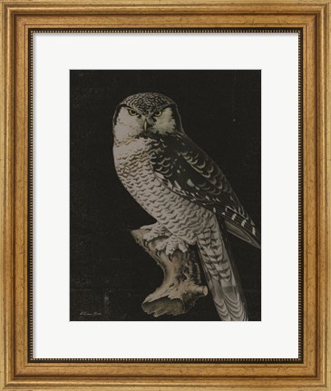 Framed Moody Owl Print