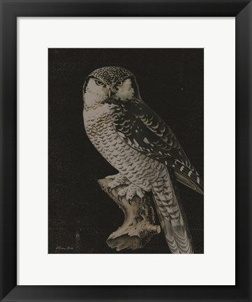 Framed Moody Owl Print