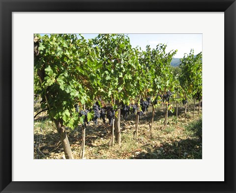 Framed Time To Harvest Print