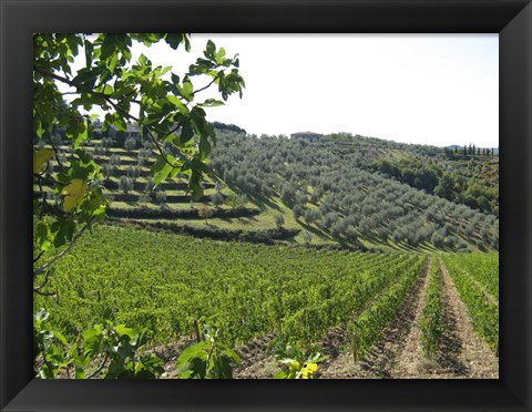 Framed Tuscan Hills Print