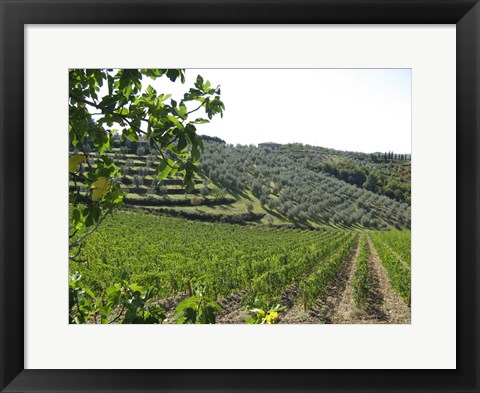 Framed Tuscan Hills Print