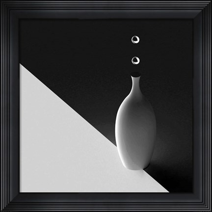 Framed Vase Print