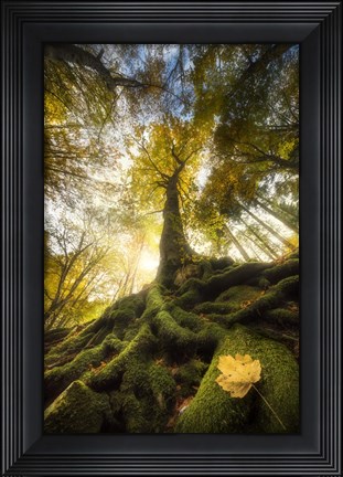 Framed Goodbye of a Leaf Print