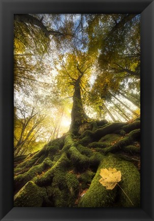 Framed Goodbye of a Leaf Print