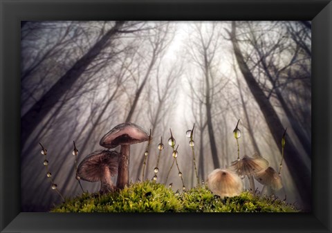 Framed Small and Giant Creatures of the Woods Print