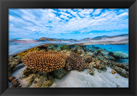 Framed Into the Lagoon! Print