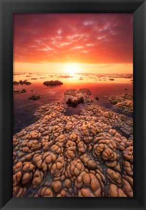 Framed Low Tide on the Lagoon of Saint Leu Print