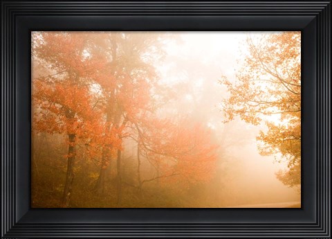 Framed Beyond The Fog Print