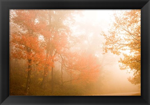 Framed Beyond The Fog Print