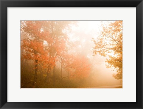 Framed Beyond The Fog Print