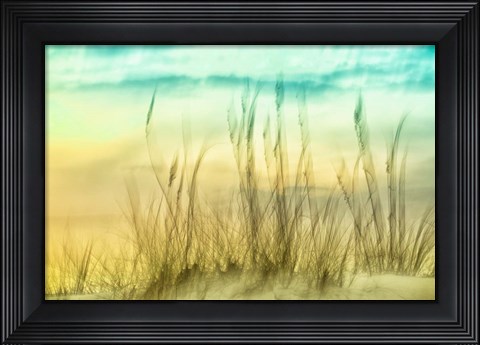 Framed Delightful No. 2 Print