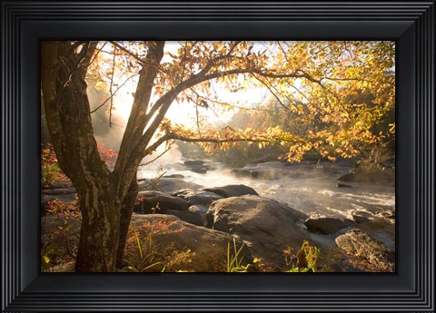 Framed Georgia Fall Print