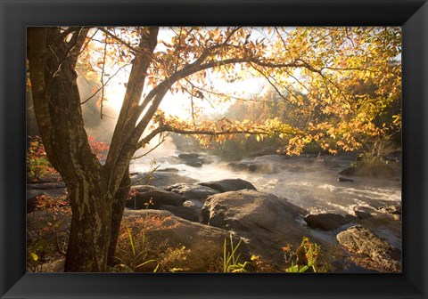 Framed Georgia Fall Print