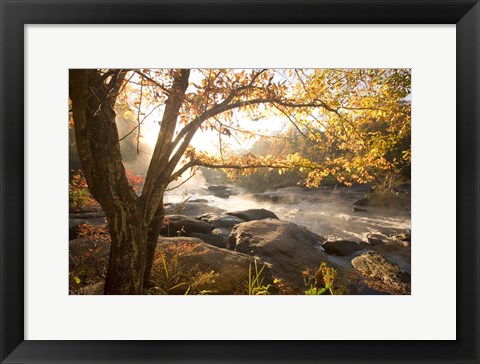 Framed Georgia Fall Print