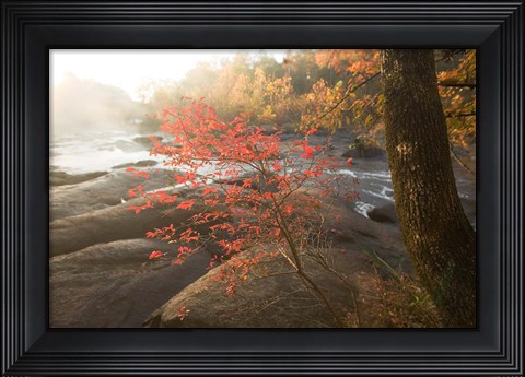 Framed Little Red Print