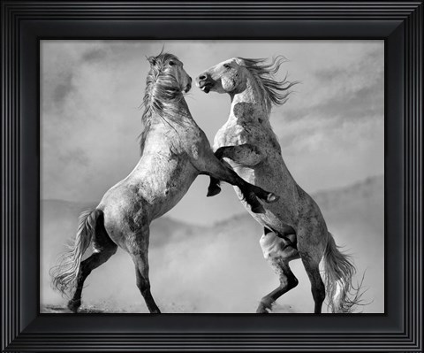 Framed Challengers Print