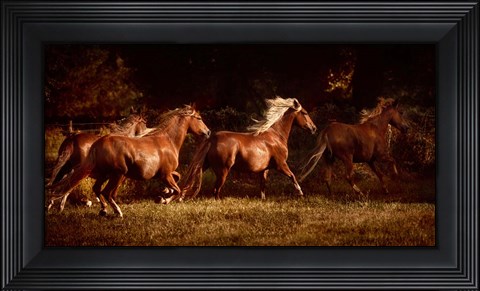 Framed Fire and Grace Print