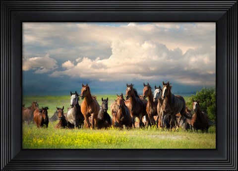 Framed Running Free II Print