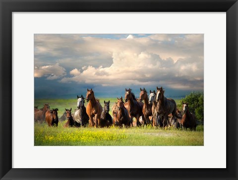 Framed Running Free II Print