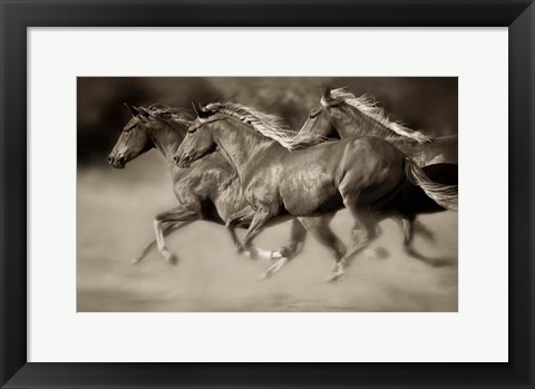 Framed Wind Runners Print