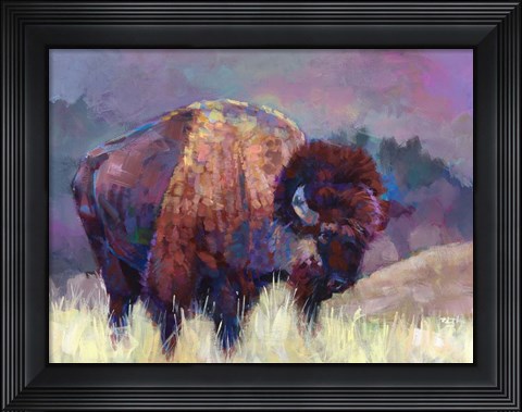 Framed Buffalo Roam Print