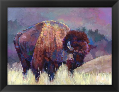 Framed Buffalo Roam Print